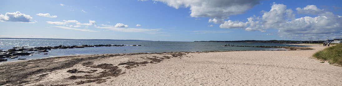 cape cod beach part of national seashore, on bright sunny day
