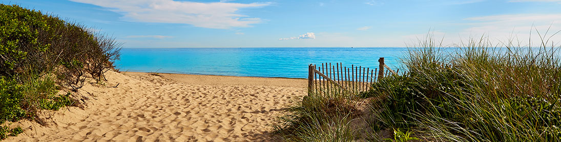 herring cove beach on cape cod during a beautiful summer day