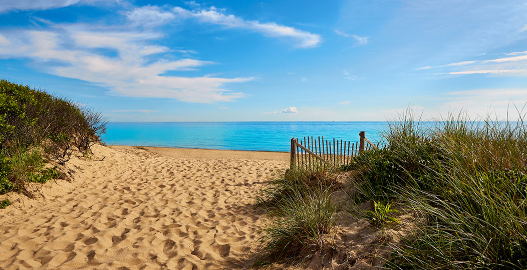 Herring Cove Beach on Cape Cod on beautiful summer day shutterstock 368288396_04302024